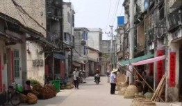 红港小镇爆料案件真相视频,视频曝光惊人内幕