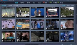 地方电视台直播在线观看,地方电视台带你领略地方风情