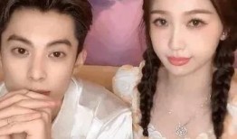 娱乐圈明星艺人被爆料,真相与谣言的交织