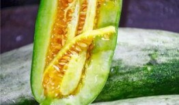 吃瓜网红 最新,揭秘网络红人的幕后故事